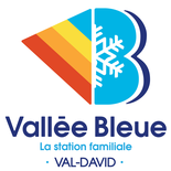 Level 1 Ski - AMSC
