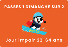 Passe 1 dimanche sur 2- 22-64 ans (option 1)