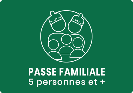 FAMILY PASS (5 PEOPLE OR MORE)